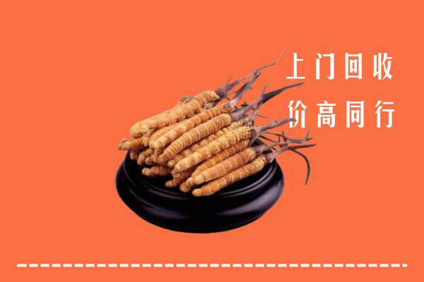 高价求购：西安回收散虫草