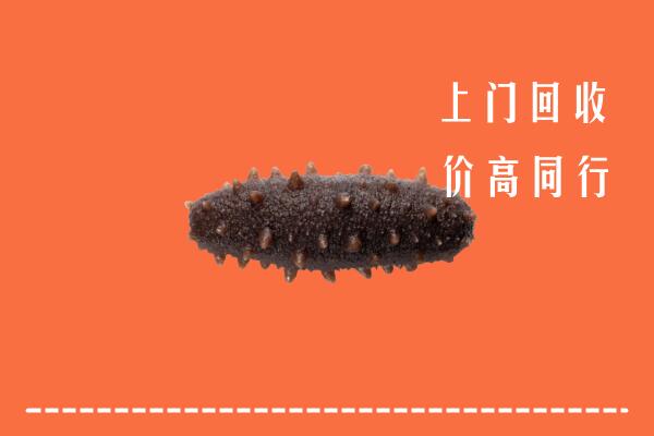 西安回收海参