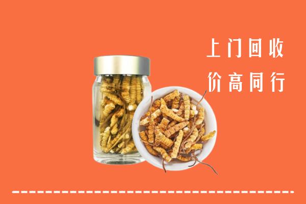 西安回收冬虫夏草